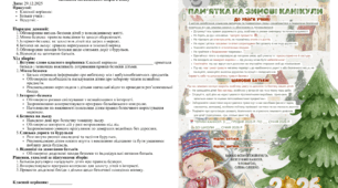 Пам’ятка для батьків «Безпека дітей під час зимових канікул»диктант для дітей + протокол батьківських зборів