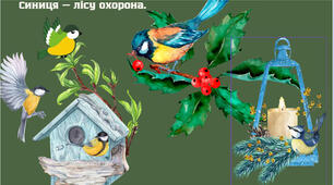 Синички