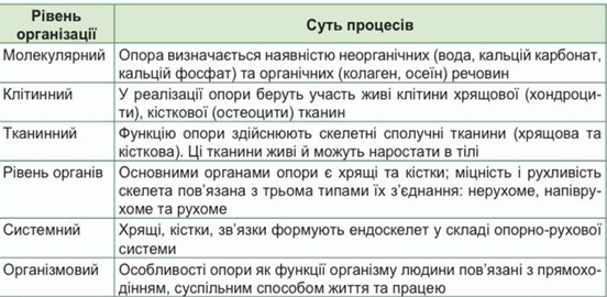 0900oih3-ec53-645x316.png