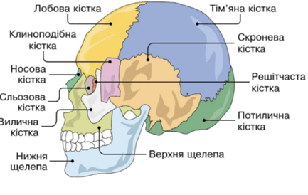 0900oihc-2d87-433x274.png