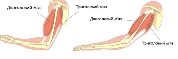 0900oihr-c1b7-577x192.png