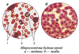 0900oiss-a1f9-309x214.png