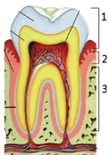 0900ojb0-38b5-303x430.png