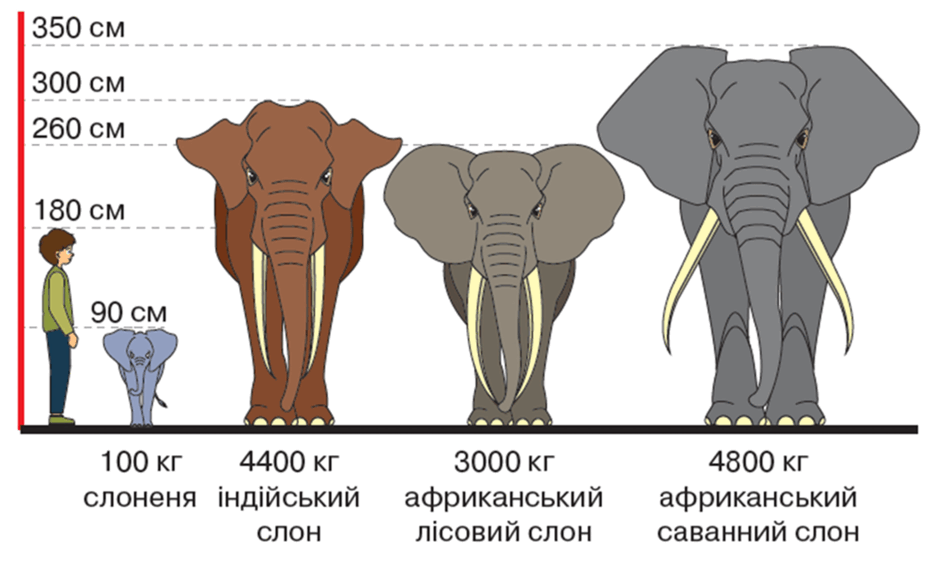 0900onu1-a04a-940x577.png