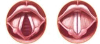 0900ow80-58e0-335x148.png