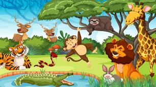 Wild Animals