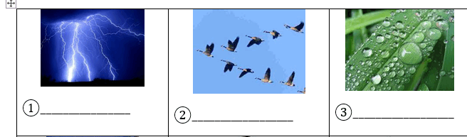0900oyir-7f76-656x193.png