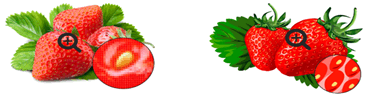 0900p0xy-92eb-367x94.png