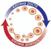 0900p2s7-4f97-170x163.png