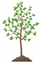 0900p2vl-2257-106x168.png