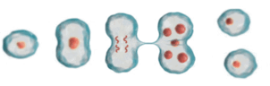 0900p37i-5d47-302x96.png