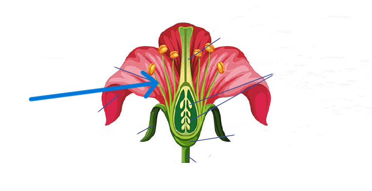 0900p4x0-819f-765x393.png