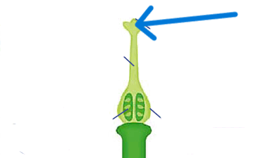 0900p50r-d95b-386x225.png