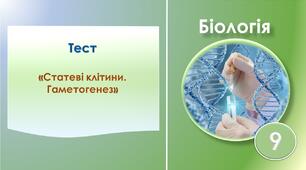 Тест: Статеві клітини. Гаметогенез