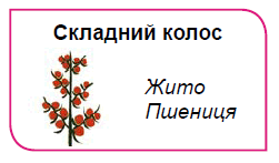 0900p52r-6397-251x147.png