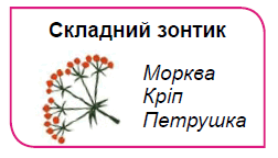 0900p52t-7141-252x144.png