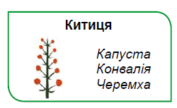 0900p52x-034f-250x153.png