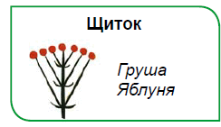 0900p531-82b4-244x141.png