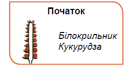 0900p535-b5dc-258x138.png