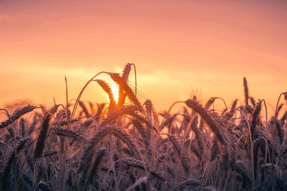 0900p5hl-12df-940x627.png