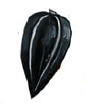 0900p61n-665d-86x103.png