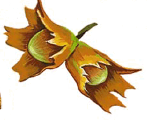 0900p61u-940c-210x172.png
