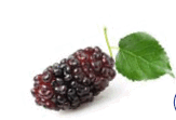 0900p621-0340-163x111.png