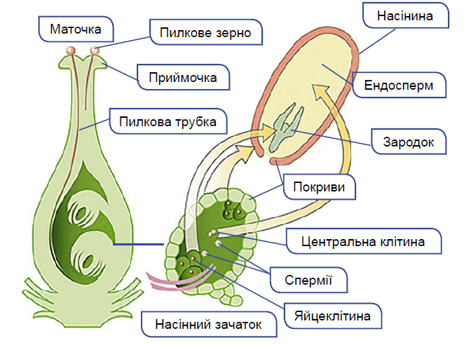 0900p6ar-073f-672x492.png