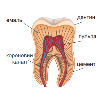 0900p71p-c29a-365x323.png