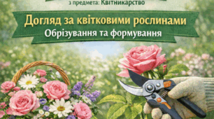 Догляд за квітковими рослинами. Обрізування та формування