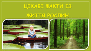Цікаві факти про рослини