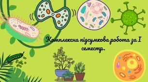Комплексна підсумкова робота за І семестр.