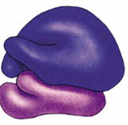 0900pmzg-88ae-128x125.png