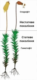 0900pn2m-884b-184x399.png