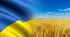 Фонетика. Підготовка до НМТ-2026. Тренувальний тест.