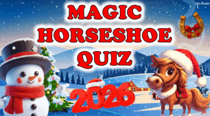 New Year/ Christmas lesson - `Magic Horseshoe Quiz🐴`