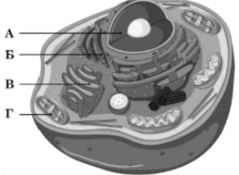 0900px8i-d8e9-262x192.png