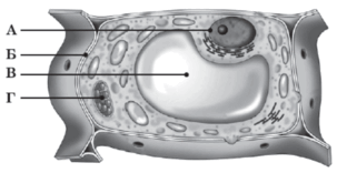 0900pxe3-bb8f-303x156.png