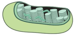 0900pxqb-869c-252x123.png