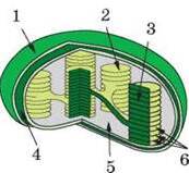 0900q51o-d3ee-252x231.jpg