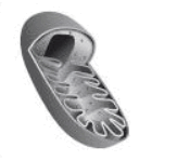 0900q82t-fac6-163x149.png