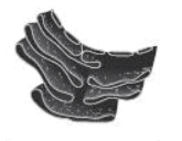 0900q833-705b-165x128.png