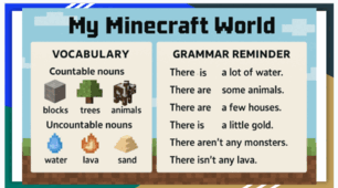 There is/ There are  some/ any/ a few/ a little   a lot of with Minecraft