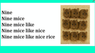 Sentence leaders  long vowels