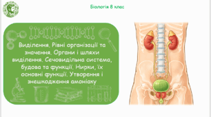 Презентація, конспект уроку та робочі аркуші на тему "Виділення. Рівні організації та значення. Органи і шляхи виділення. Сечовидільна система, будова та функції. Нирки, їх основні функції. Утворення і знешкодження амоніаку". 8 клас НУШ