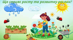 Дидактична гра "Що сприяє розвитку та росту рослин?"