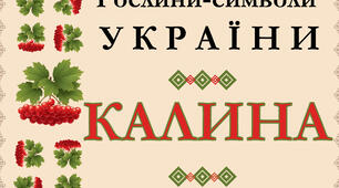 Рослини - символи України: КАЛИНА.