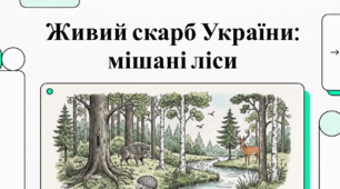 Живий скарб України: мішані ліси