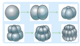 0900qny7-72c4-254x147.png