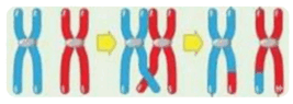 0900qq3b-2b59-267x95.png